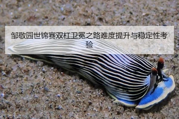 zou-jing-yuan-shi-jin-sai-shuang-gang-wei-mian-zhi-lu-nan-du-ti-sheng-yu-wen-ding-xing-kao-yan-2-841.jpg